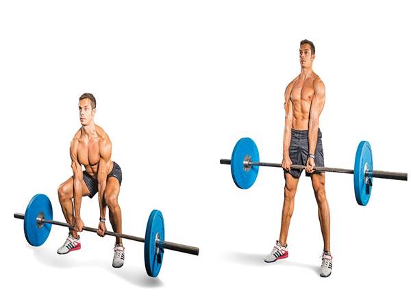 Sumo Deadlift là gì? Những thông tin cần biết về Sumo Deadlift