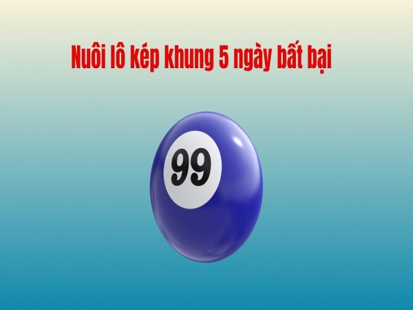 Cách chọn cặp lô kép phù hợp để nuôi khung 5 ngày