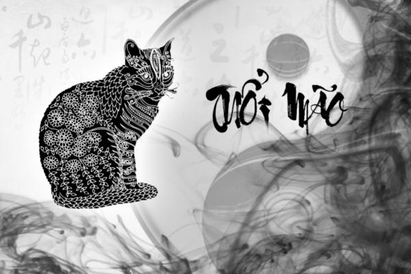 Liệu số may mắn tuổi Mão hôm nay có thay đổi vận hạn?