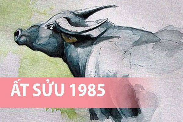 Gợi ý con số phát tài tuổi Ất Sửu 30/10/2025 mang may mắn Gợi ý con số phát tài tuổi Ất Sửu 30/10/2025 mang may mắn