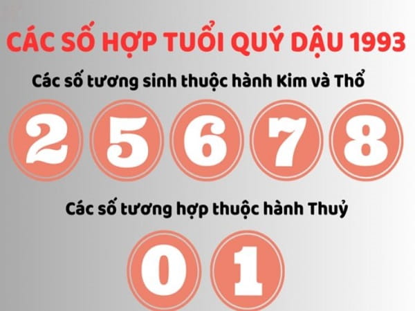 Khám phá tử vi con số may mắn tuổi Quý Dậu ngày 2/1/2026